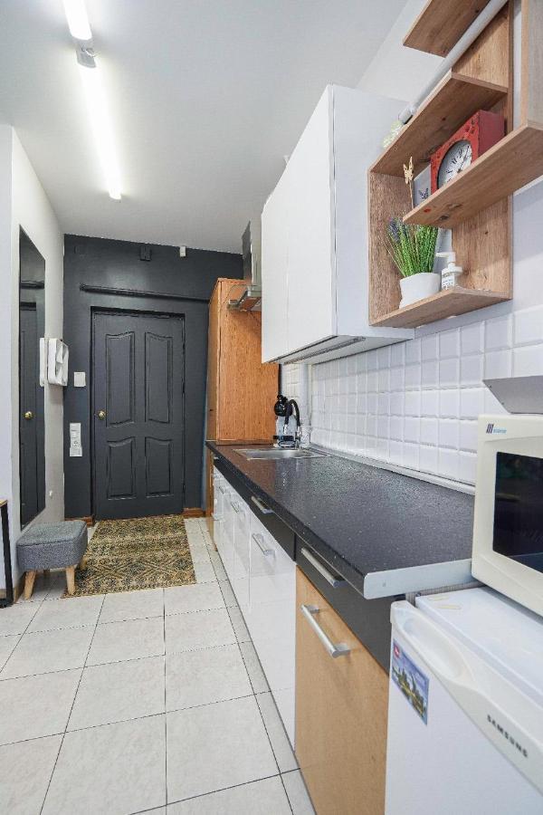Apartmán Jaukus Ir Kokybiskas Butas Panevezio Centre Panevėžys Exteriér fotografie
